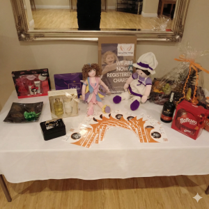 Molly Hawes fundraiser